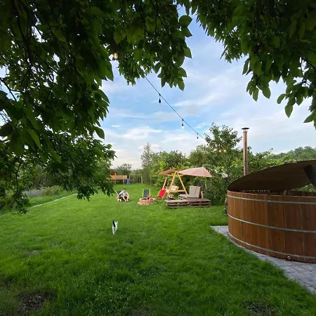 Guest house Casa Badea
