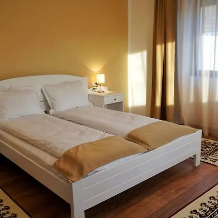 Casa Badea Guest house Riu Alb