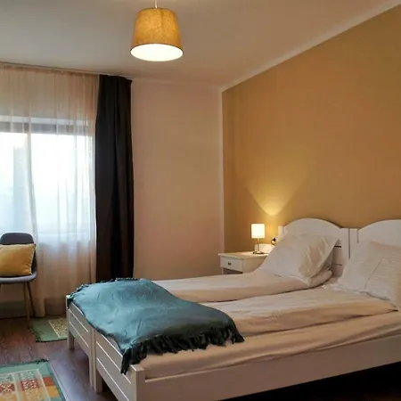 Casa Badea Guest house Riu Alb