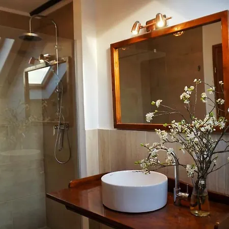 Casa Badea Guest house 3*