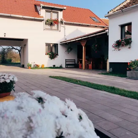 Casa Badea 3*