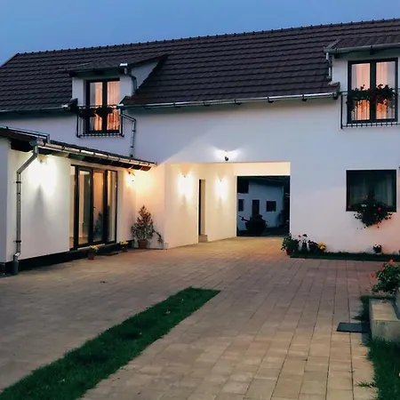 Casa Badea Guest house Riu Alb